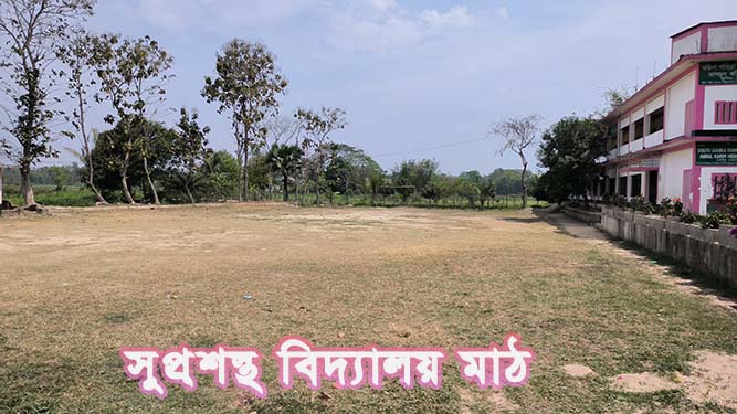Slide Image